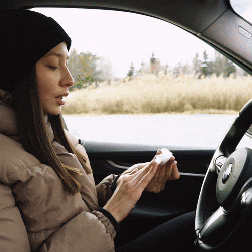 Aluminum Car Trash Can